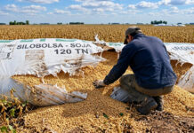 CARBAP celebró la aprobación en Diputados del proyecto que busca penar el vandalismo rural