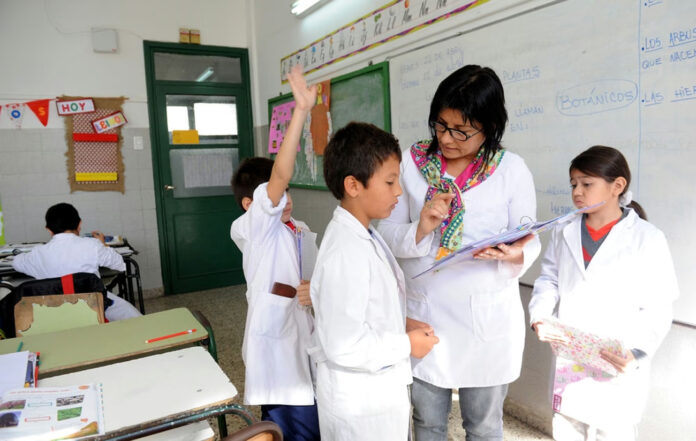 docentes