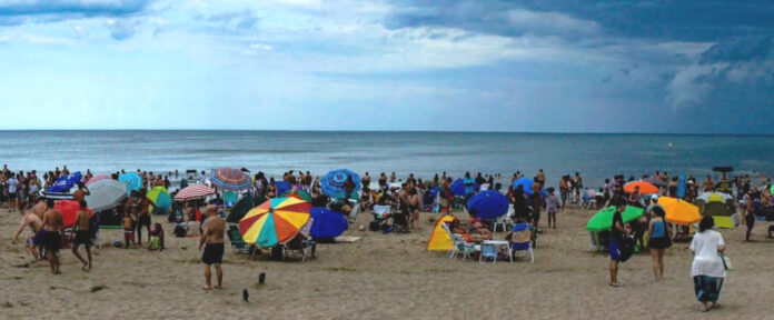 gesell