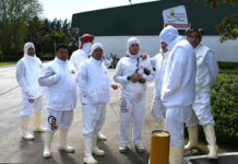 Granja Tres Arroyos: sin conciliación, quedaron firmes los 1.250 despidos