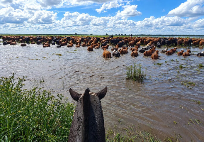 inundacion 3