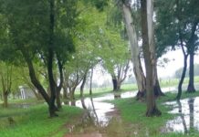 Cierre temporal del Parque de las Aguas Corrientes por razones de seguridad