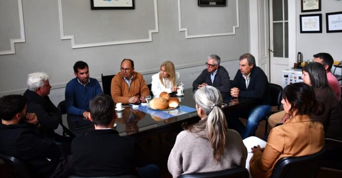 salomon legisladores